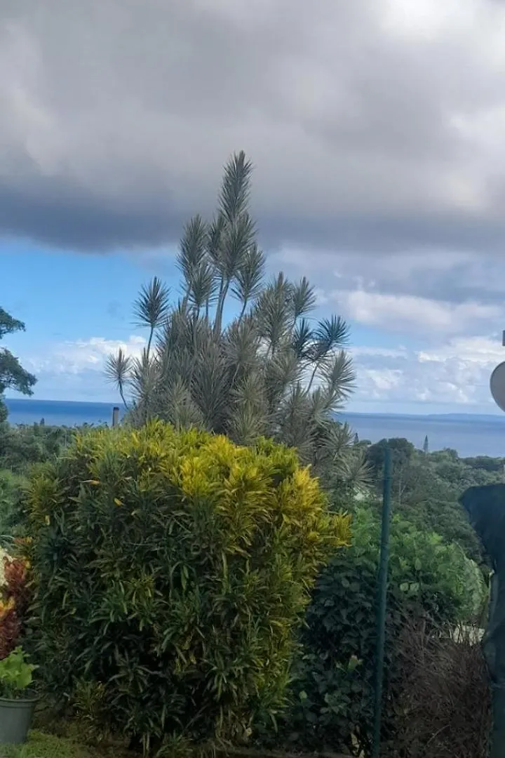 Apartmán Au Petit Salako Capesterre-Belle-Eau Guadeloupe